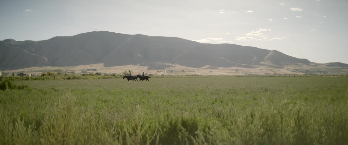 Two people ride horses across a grassy field