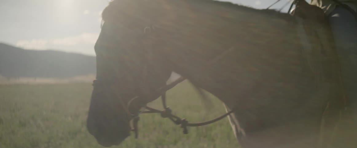 A person rides a horse through a pasture