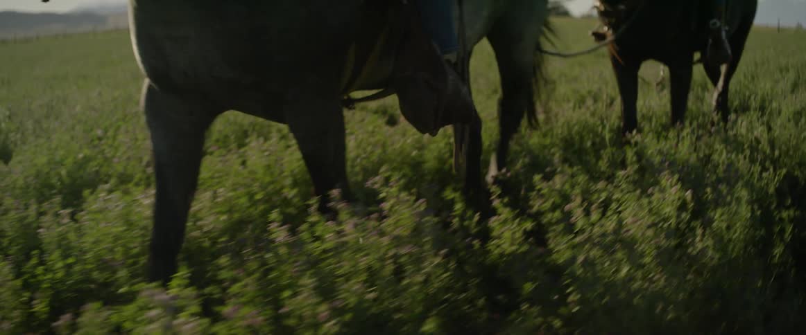 Two people ride horseback in a large rural grassland