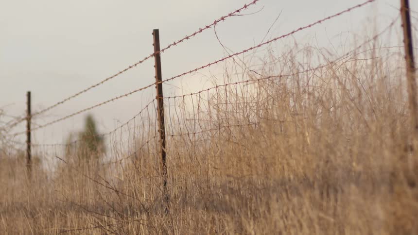 A barb wire fence in a field