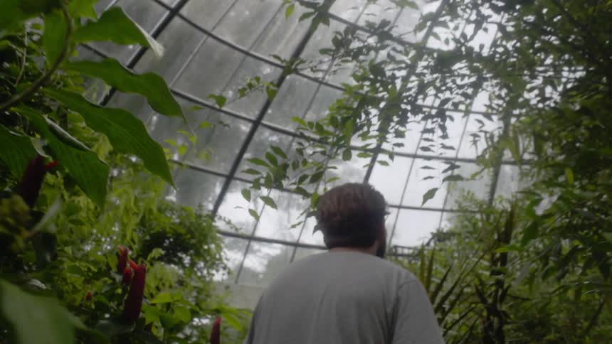 A white man walks through a large greenhouse filled with plant life