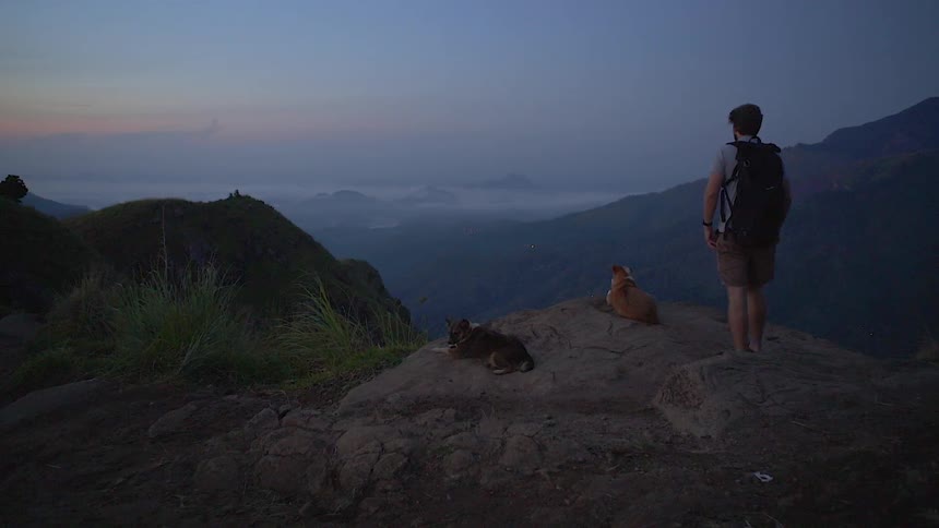 Two dogs lie on a cliff as a man walks towards them