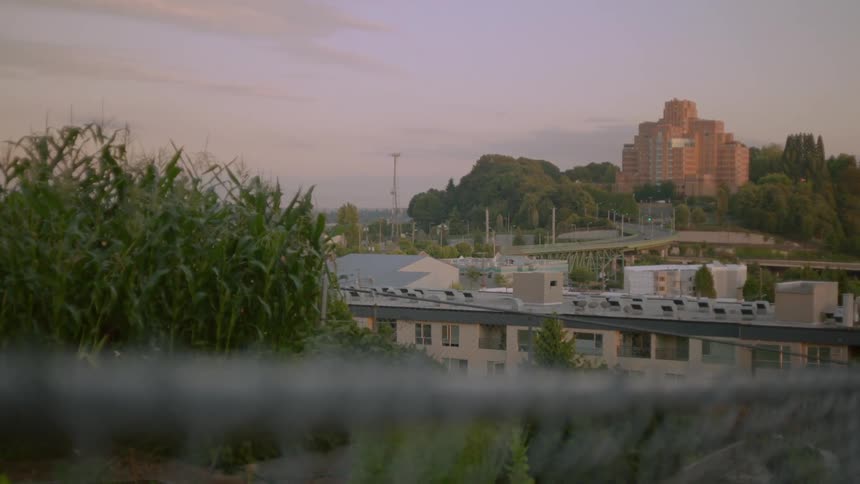 Neighborhood buildings of a city sit surrounded by trees