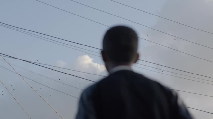 A man looks up at the sky and watches birds flying