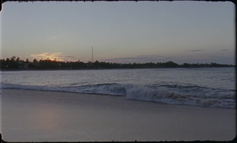 Shallow waves wash up onto the beach with a forest far back on the horizon
