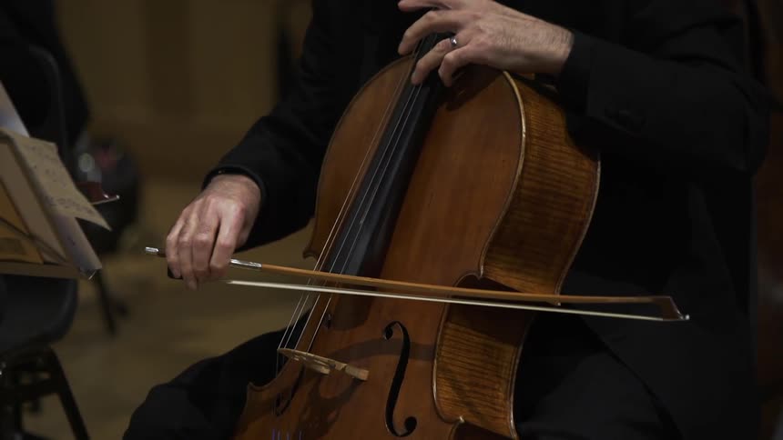 A cellist plays their instrument