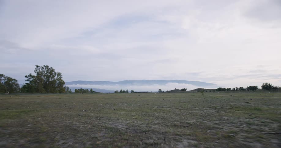 Hills can be seen behind the trees that dot a flat grassland