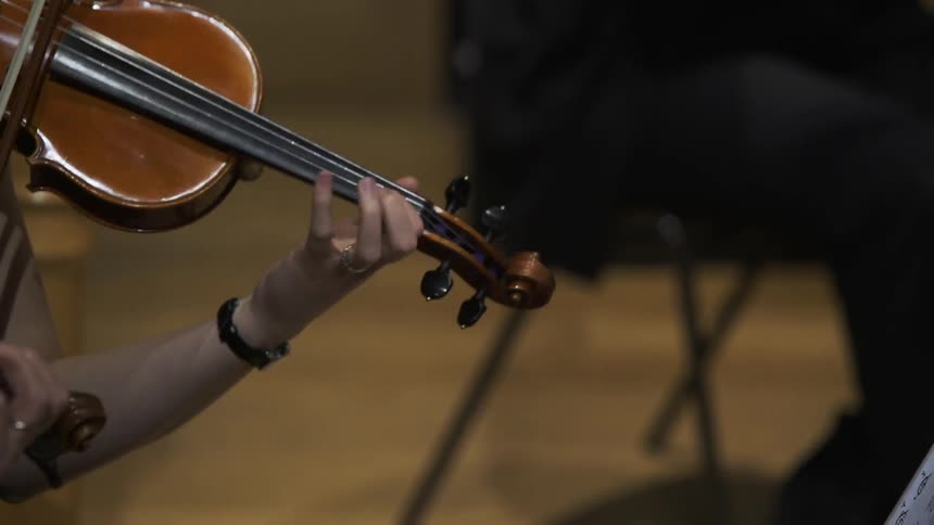 A woman plays the violin