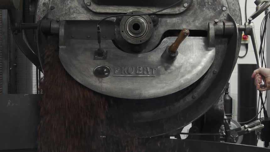 Machinery spits out coffee beans into a large vat