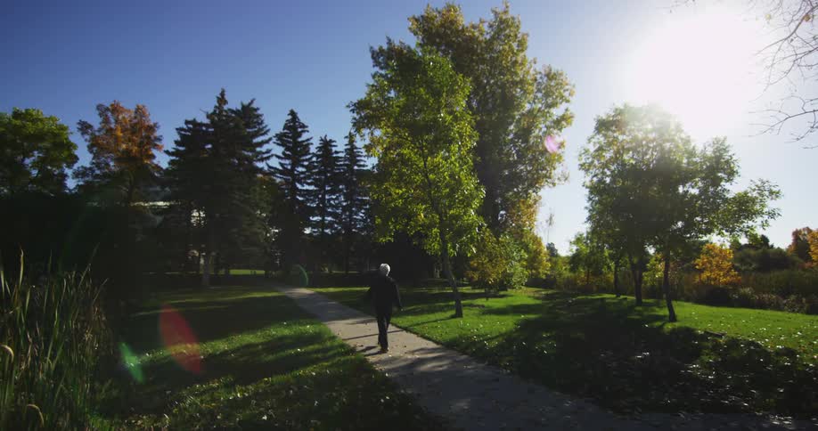 A person walks down a sidewalk toward trees