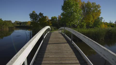 A bridge crosses a calm lake
