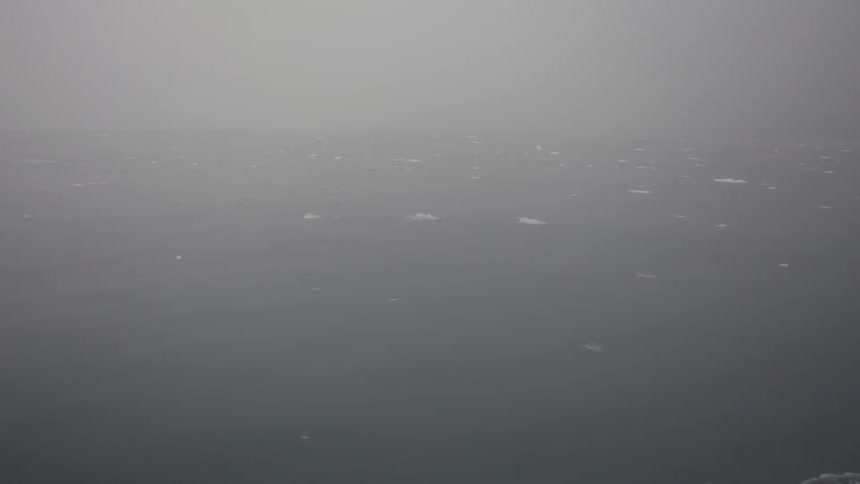 Debris in the ocean on a foggy day