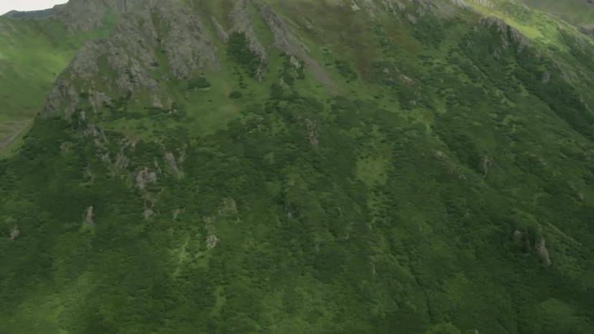 Alaskan Oceanview