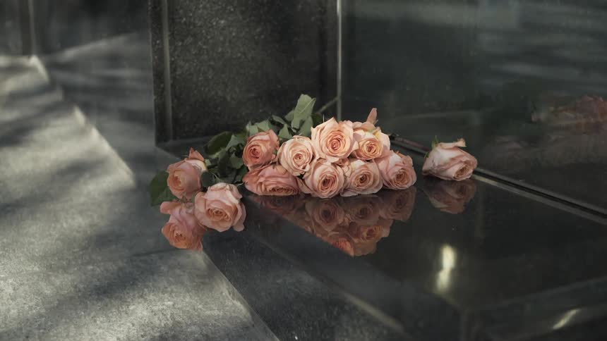 Pink roses sit on a marble slab, blowing in the wind