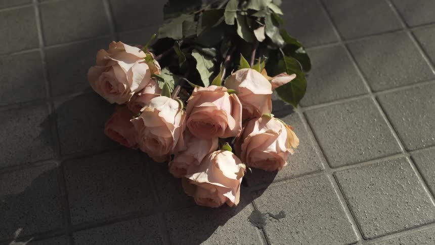 A bouquet of pink roses lies on the ground