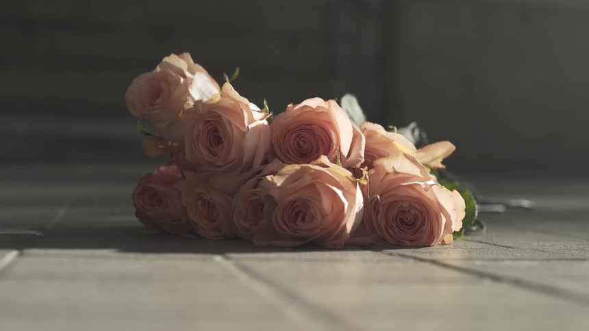 Roses lay undisturbed on the floor