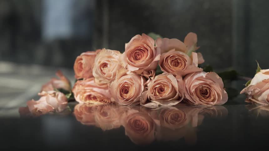 Pink roses on a table