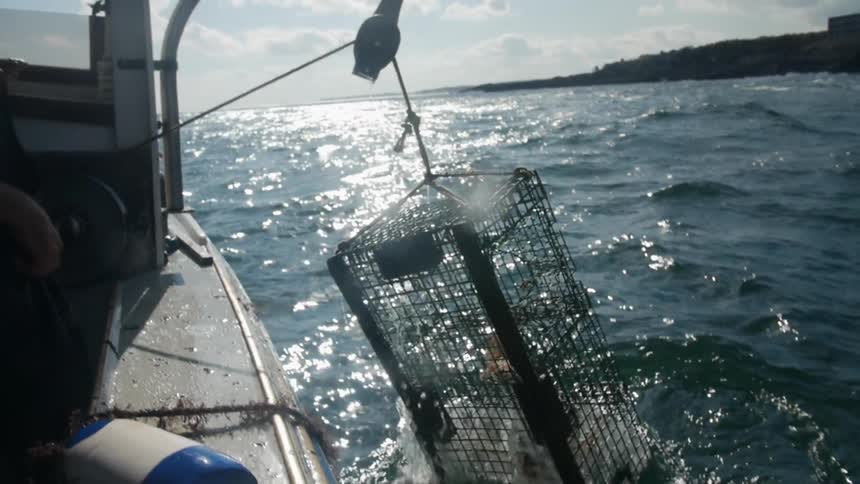 A man uses a winch to pull a lobster or crab cage from the ocean
