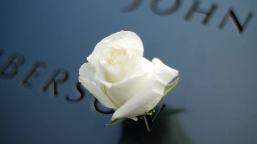 A small flower sits on a slab