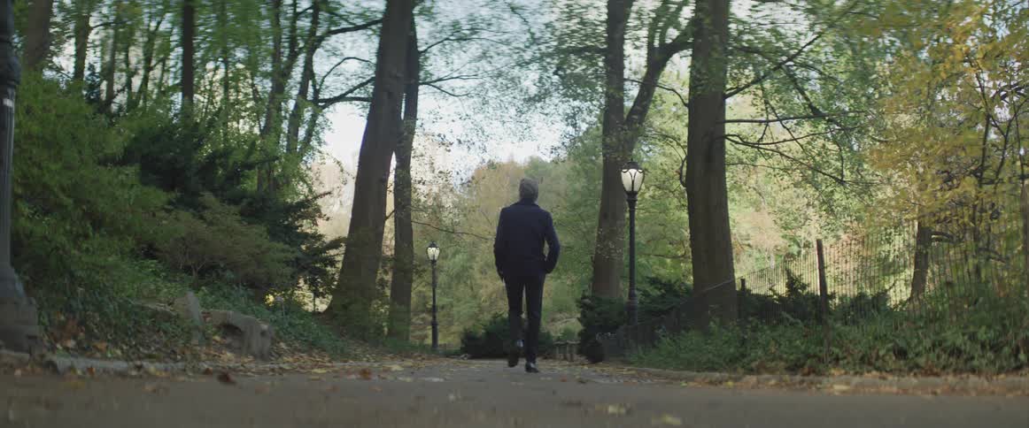 A man walks down the path in a park with his hands in his pockets looking up and around at the trees blowing in the wind