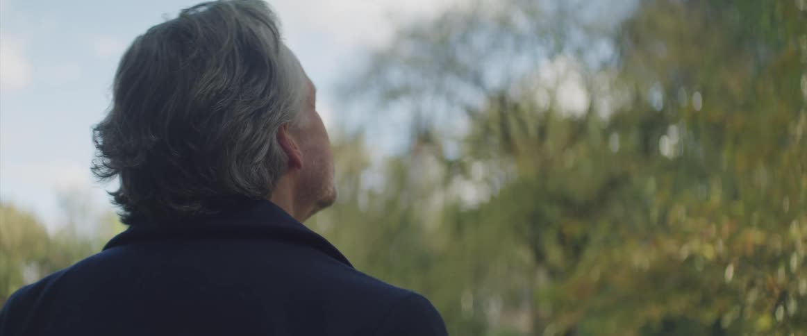 Businessman looks up at the trees in the public park