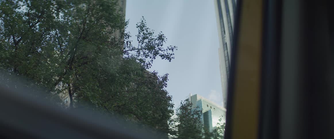 Trees blowing in the wind and city buildings on a sunny day seen through a car window