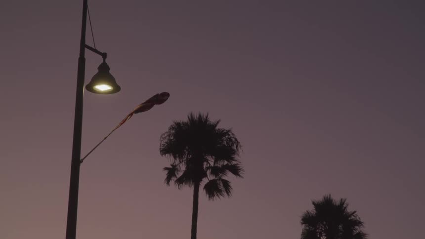 A bird flying as a flag blows in the breeze