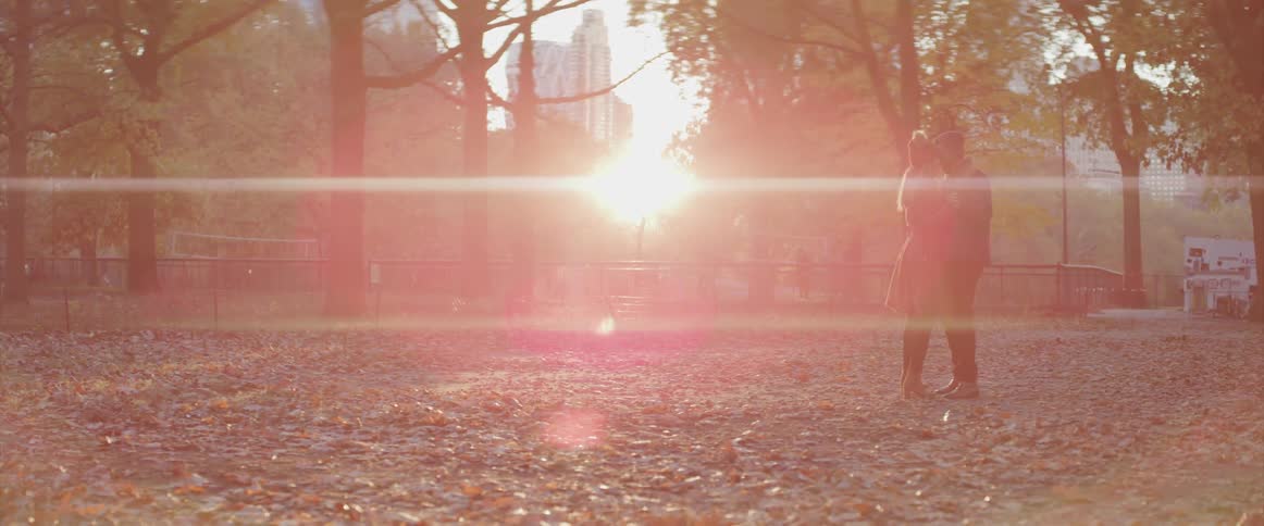 Young couple holds hand in a park at sunset