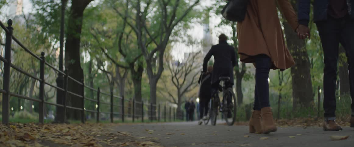 People walking and biking through a public park
