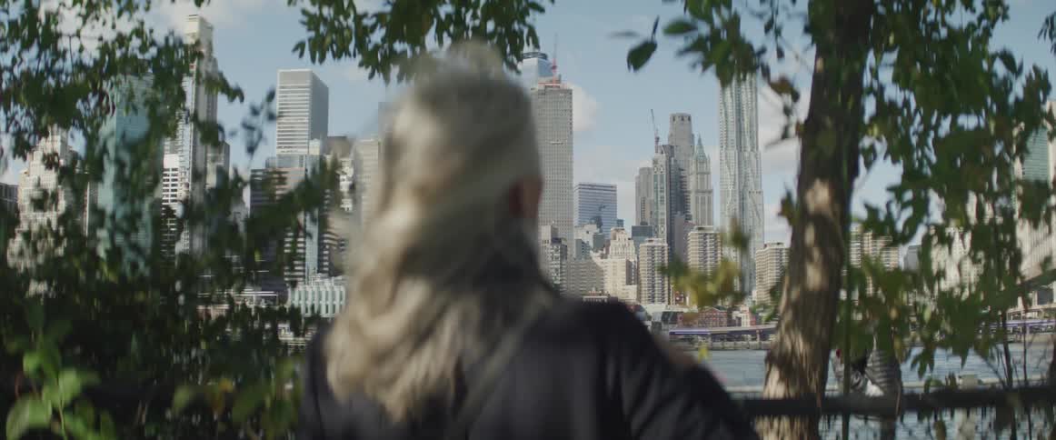 A woman stands at a fence and looks towards the city skyline