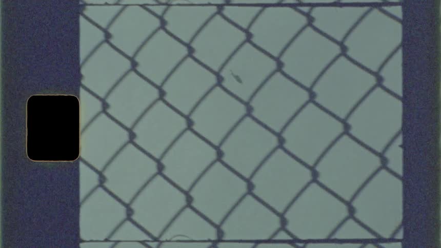 The tree peeks through the fence