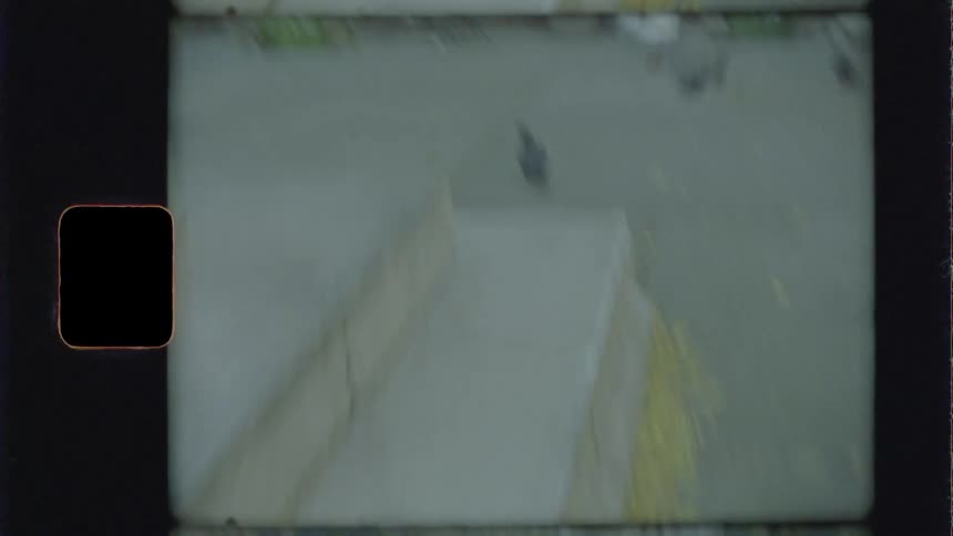 Pigeon in park flies away