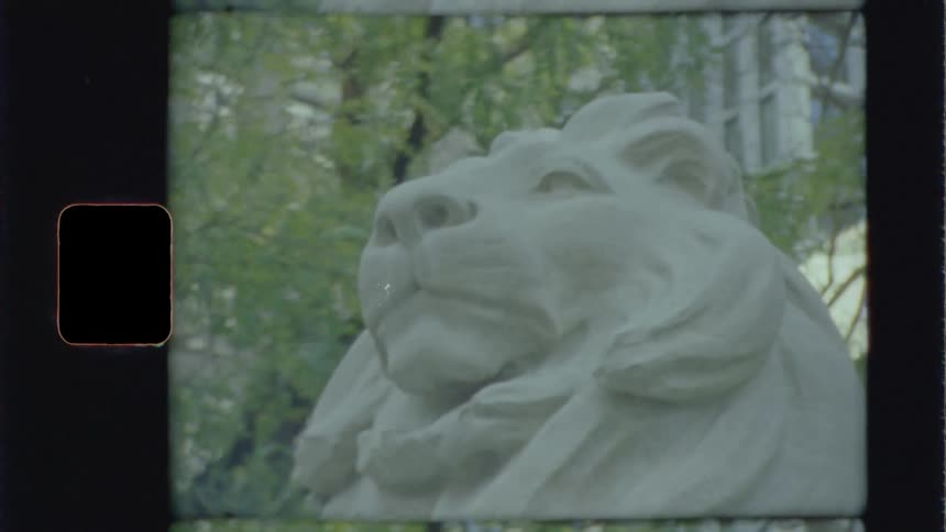 White statue of lion stands under tree near tall building