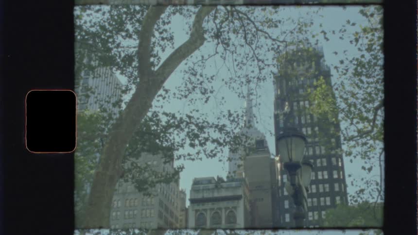 A tree stands near the city buildings under a blue sky