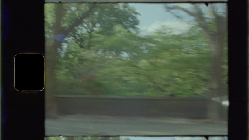 Side view of a garden from a vehicle driving on the road
