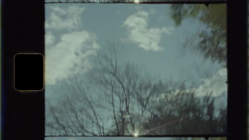 The sun peaks through the top of a line of tall trees