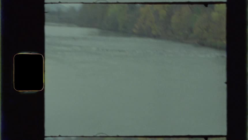 A river surrounded by trees on both sides passes under an overpass