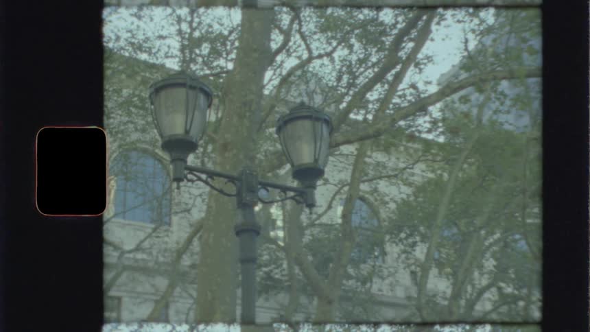 The lamp post is near the tree in the city
