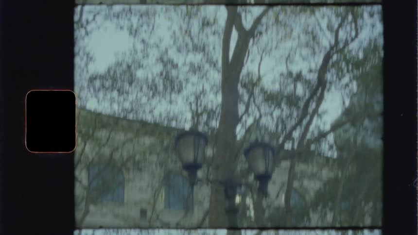 Street lamp sits under tree near building