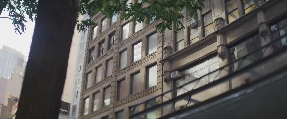 A tree stands in front of a neighborhood apartment building in a city