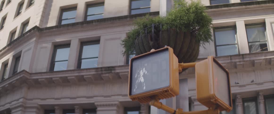 A walk sign outside a building