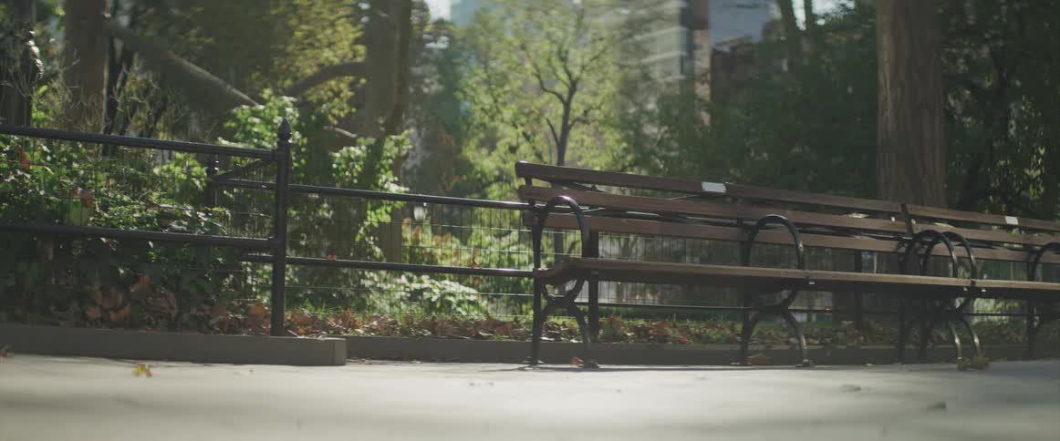 Long bench sits next to a fence near the trees
