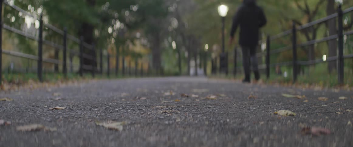 A person walks along a pathway in a public park