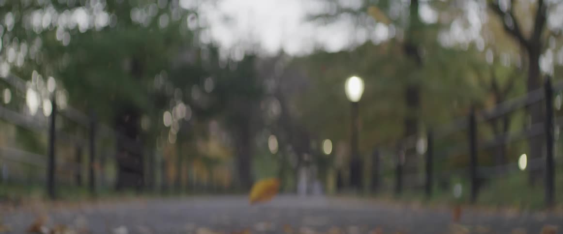 Autumn leaves fall slowly
