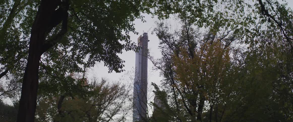 Trees with a skyscraper behind them