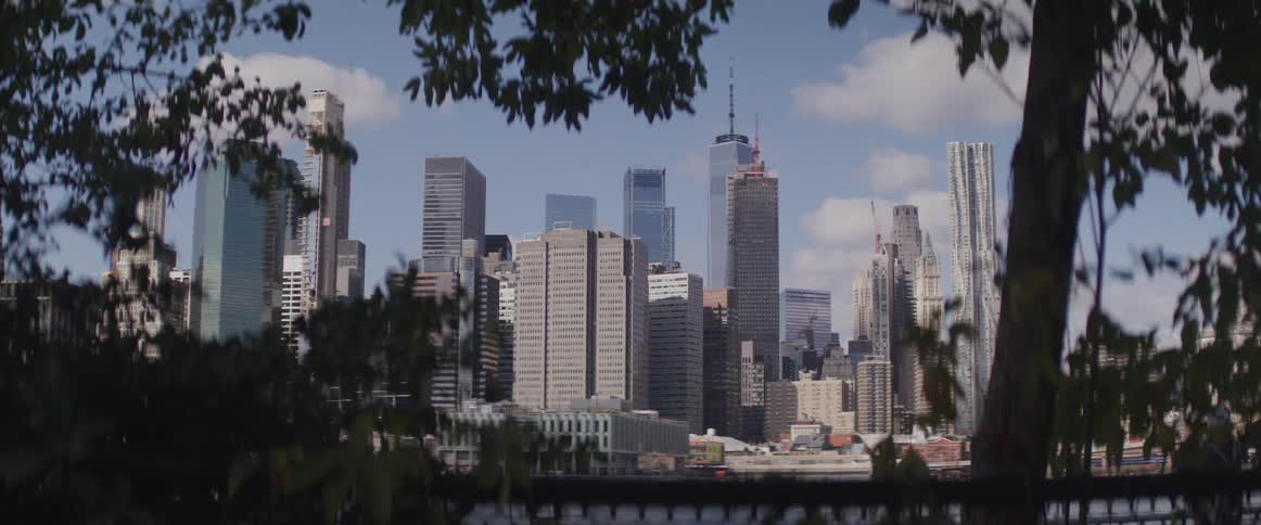 Leaves in the breeze near the tall city buildings under a blue sky