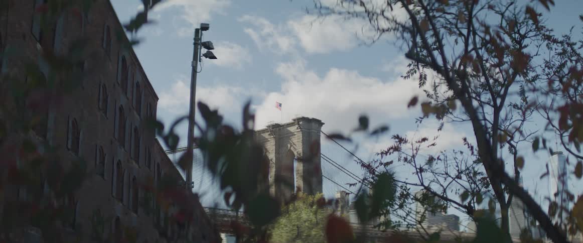 Trees blowing in the wind with a bridge and buildings in the background