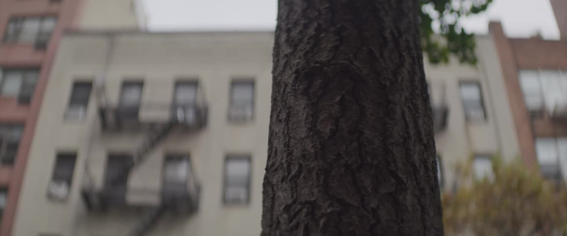 Fire escapes of the apartment buildings