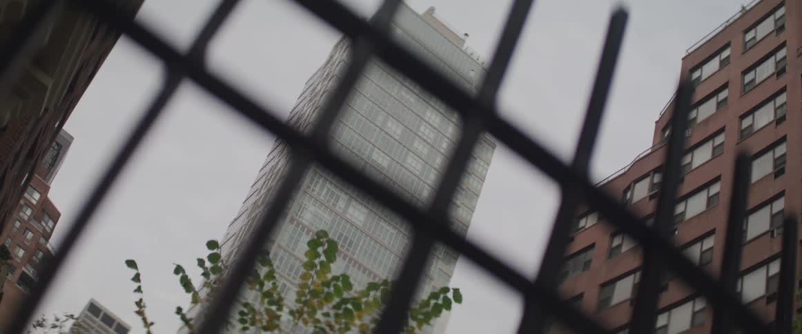 A tree stands in front of a skyscraper that towers above neighboring buildings