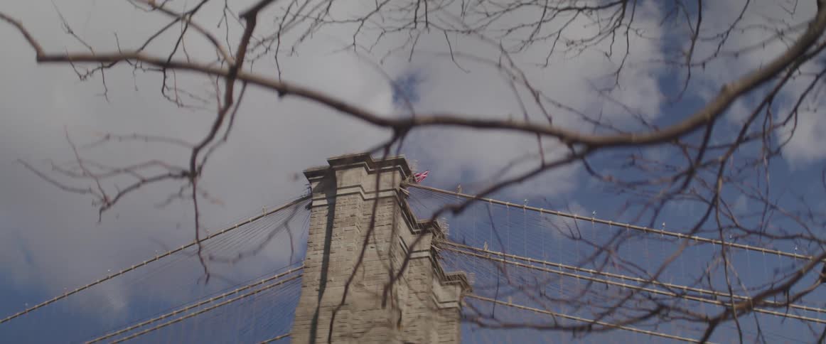 The barren branches hang in front of the bridge
